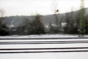_MG_0806 _MG_0806