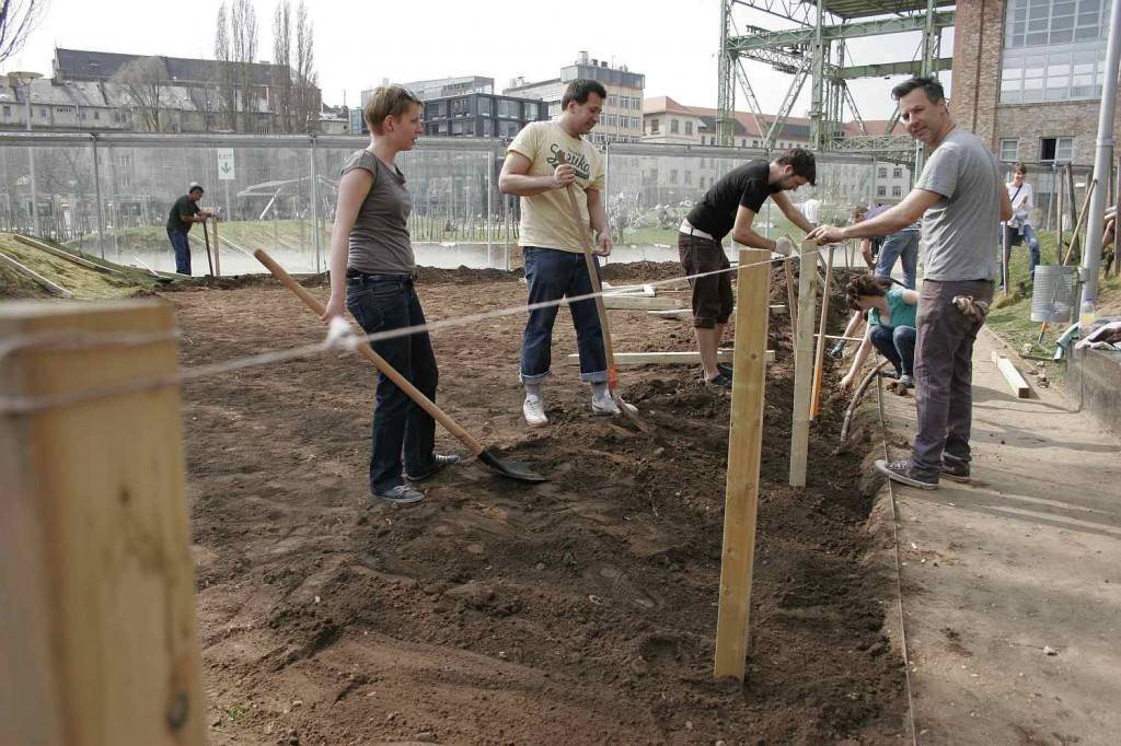 community gardening in Budapest